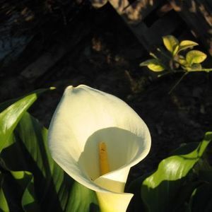 Meet your Posher, Maria elena